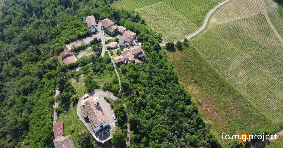 image for colli-verdi-dall-alto